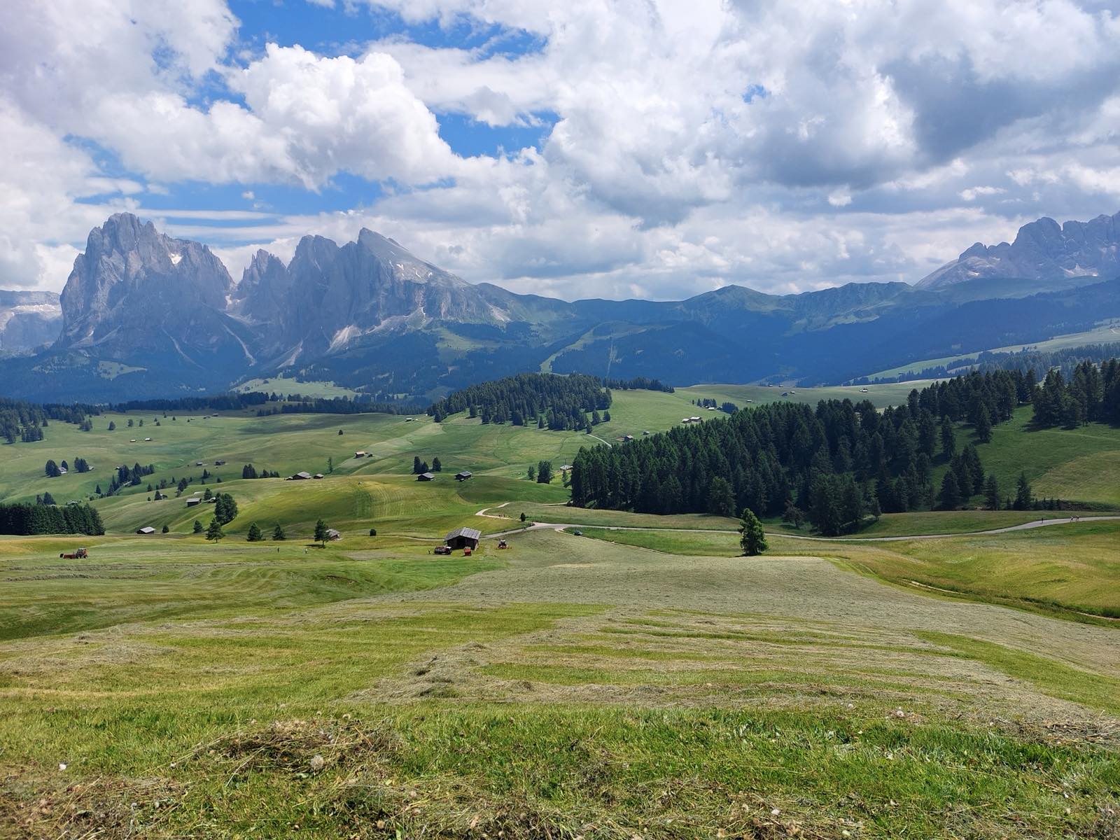 I prati dell\'Alpe di Siusi con il Sassolungo sullo sfondo