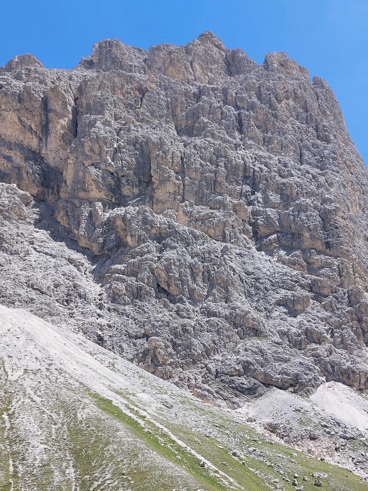 Le pareti di dolomia del Catinaccio che si alzano sopra i mughi