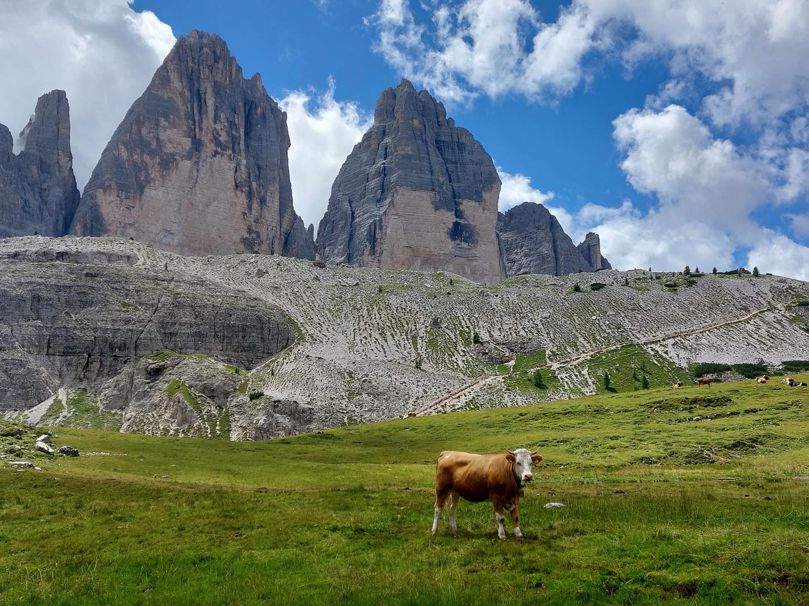 Pascoli e cime delle Dolomiti di Sesto lungo la Val Pusteria