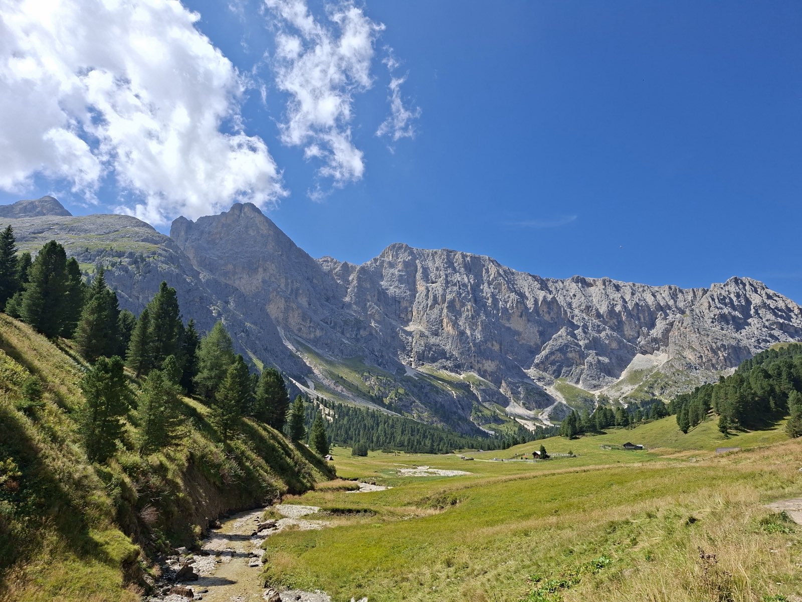 Il torrente della Val Duron fra i pascoli, sopra Campitello