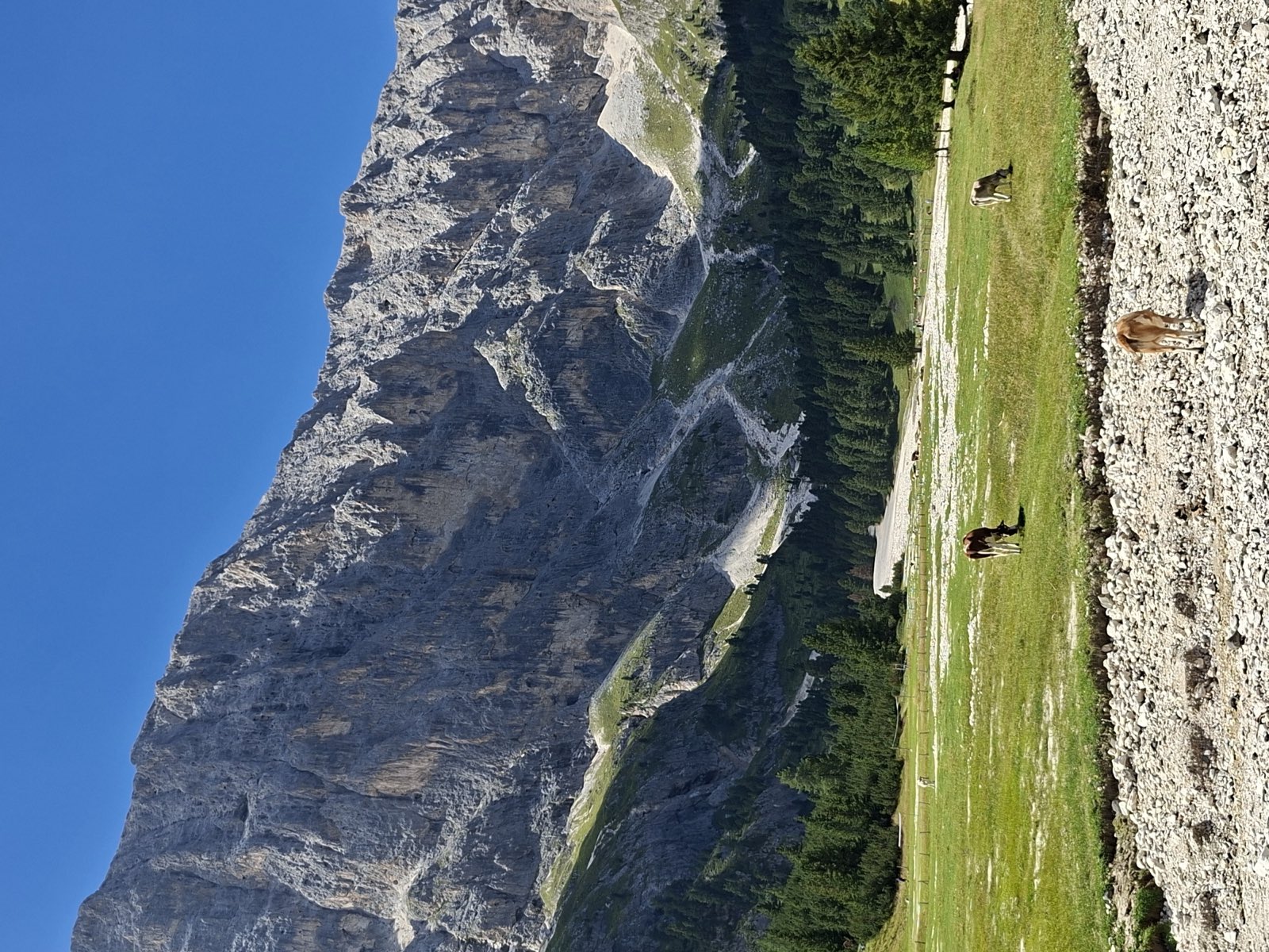 Pascoli della Val Duron sotto le pareti del Sassopiatto